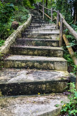 Parkta yaşlı beton merdiven