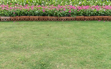 Renkli çiçekler ve bahçede yeşil çimenler