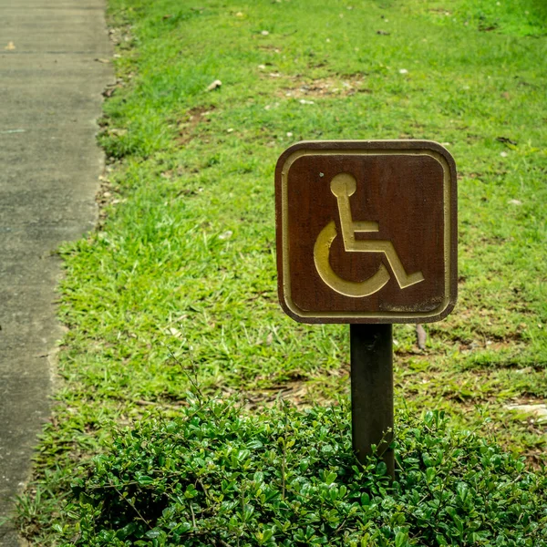 Wooden handicapped sign on green grass floor