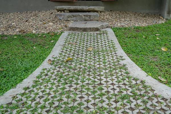 Concrete Walkway Green Lawn Park — Stock Photo, Image