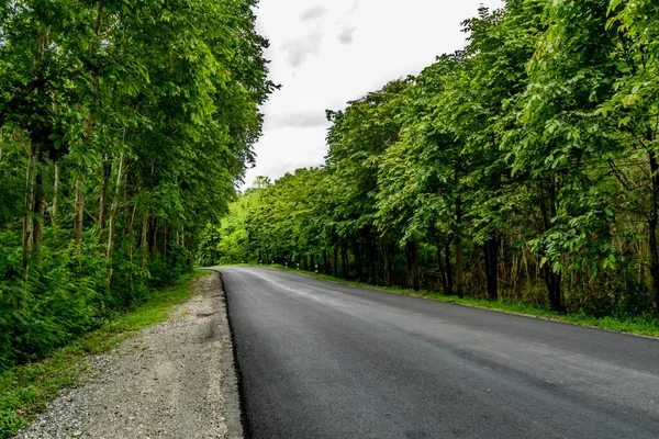 Asphaltierte Straße Mit Grünem Tropenwald Auf Dem Land Von Thailand — Stockfoto