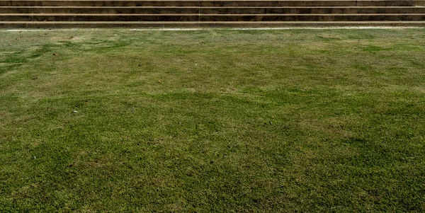Gambar Rumput Hijau Dengan Tangga Beton Taman — Stok Foto