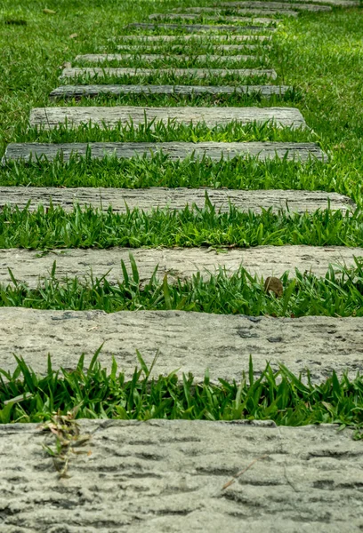 Betonnen Pad Het Park — Stockfoto