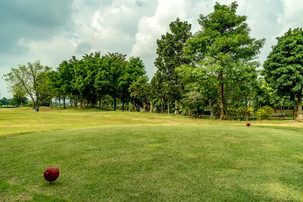 Mooie Groene Golfbaan Met Groene Bomen — Stockfoto