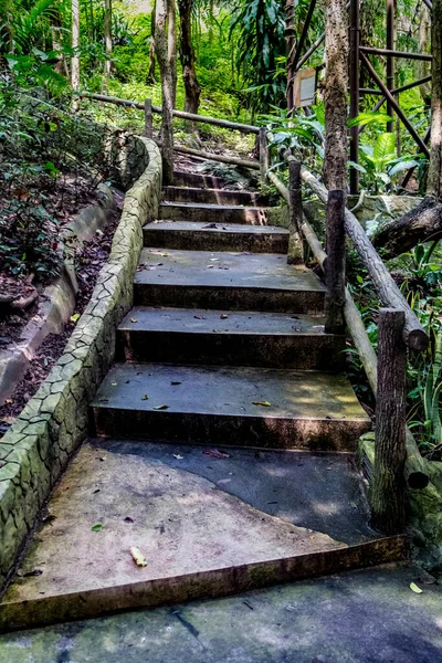 Scala Cemento Invecchiato Nel Parco — Foto Stock