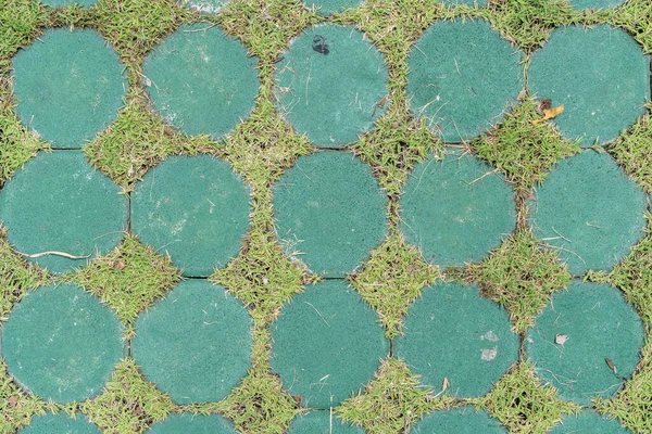 Бетонный Блочный Пол Зеленой Травой — стоковое фото