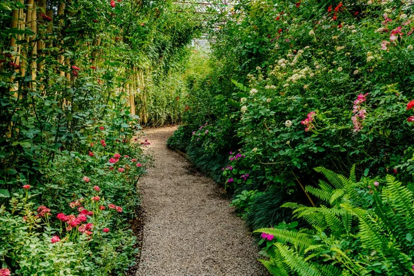Gül Bahçesindeki Gri Çakıl Yolu — Stok fotoğraf