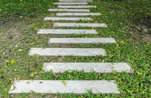 Concrete Pathway Lawn — Stock Photo, Image