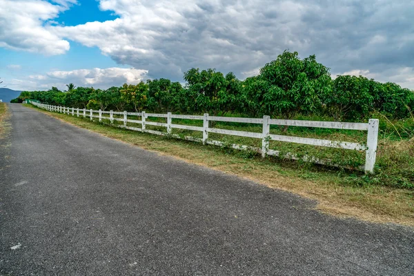 Camino Asfalto Con Valla Blanca Granja — Foto de Stock