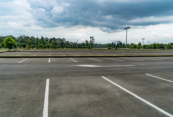 Aszfalt Üres Parkoló Bokorkerítéssel — Stock Fotó