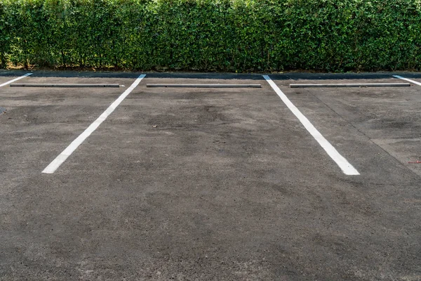 Asfalto Parque Estacionamento Vazio Com Cerca Arbusto — Fotografia de Stock