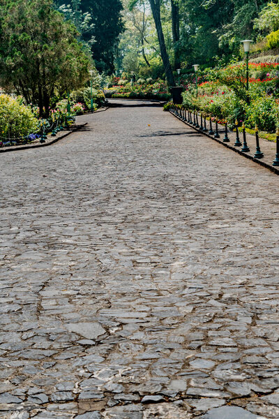 Серый каменный путь в парке