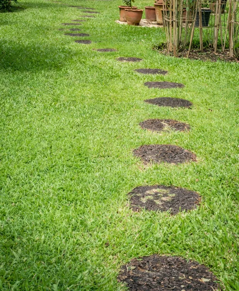 Laterite Pathway Green Grass Park — Stock Photo, Image