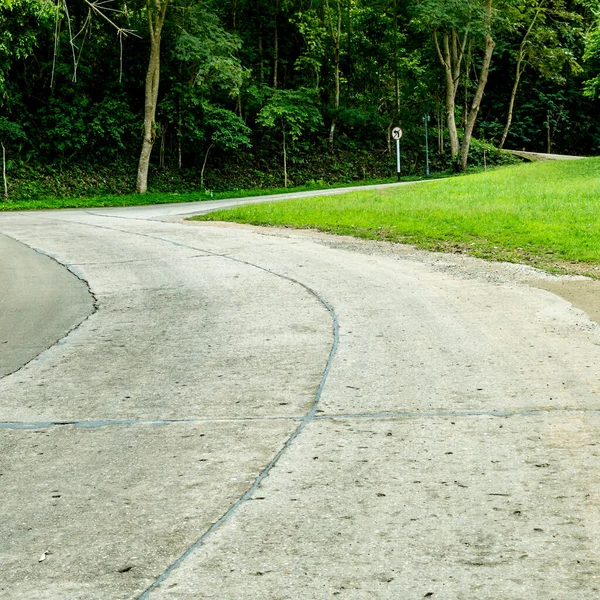 Strada Concreta Nel Parco — Foto Stock