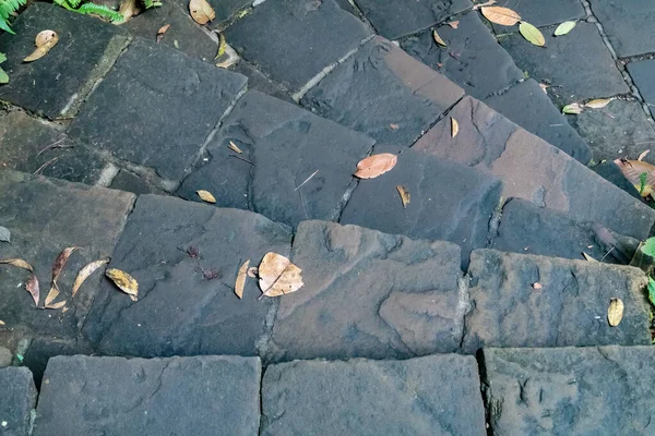 Staré Kamenné Schodiště Sušenými Listy — Stock fotografie
