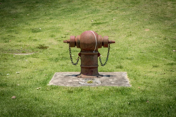 Starý Červený Hydrant Zeleném Trávníku — Stock fotografie