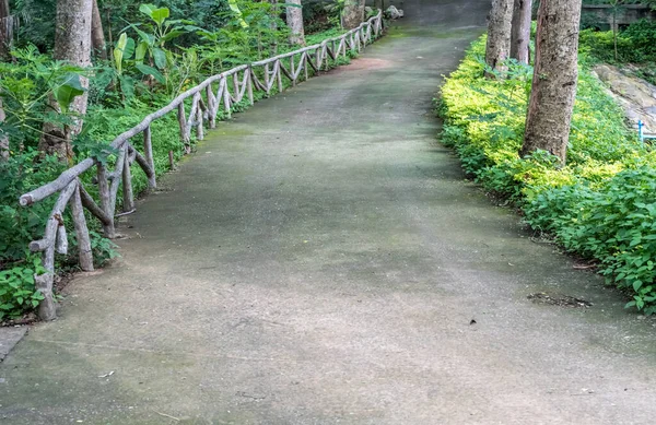 Parkta Beton Yol — Stok fotoğraf