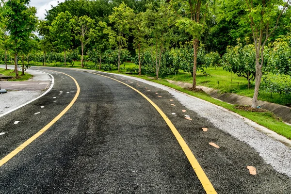 公園内の緑の木とアスファルトの道路 — ストック写真