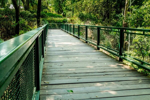 公园内有铁栏杆的木制脚桥 — 图库照片