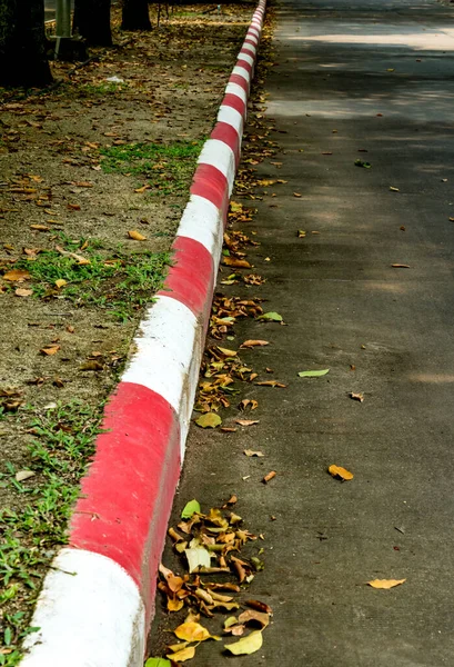 Carretera Hormigón Rojo Blanco Con Césped Verde — Foto de Stock