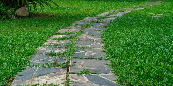 Sentiero Pietra Attraversare Erba Verde Nel Parco — Foto Stock