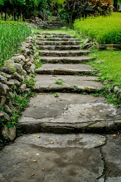 Escalier Béton Vieilli Dans Parc — Photo