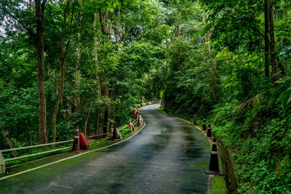 Asfalterad Väg Med Grön Tropisk Skog Thailands Landsbygd — Stockfoto