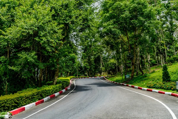 Estrada Asfalto Com Árvores Verdes Parque — Fotografia de Stock