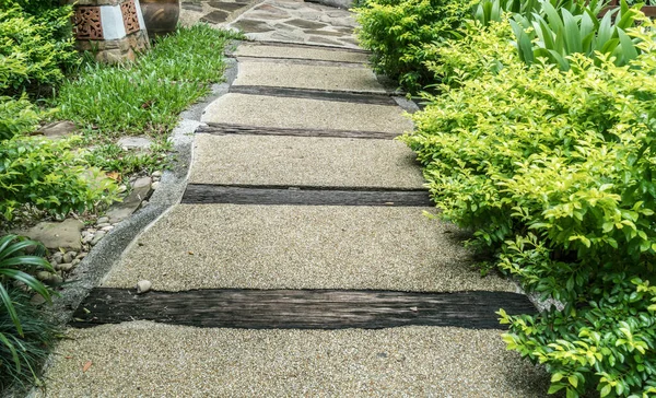 Chemin Bétonné Dans Parc — Photo