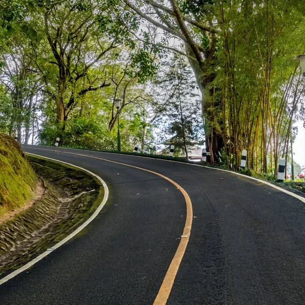 Estrada Asfalto Para Colina Parque — Fotografia de Stock