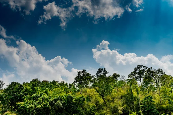 Colina Floresta Verde Com Nuvem Branca Fundo Céu Azul — Fotografia de Stock