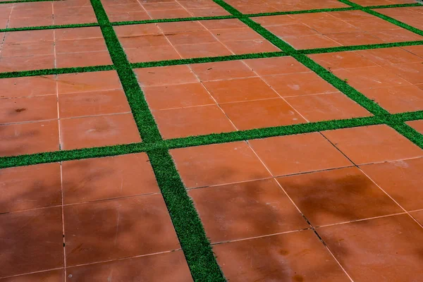 Perspectief Van Oude Bruine Keramische Tegelvloer Met Groene Graslijn — Stockfoto