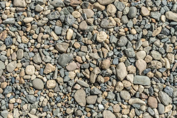 Small Gravel Texture Simple Background — Stock Photo, Image