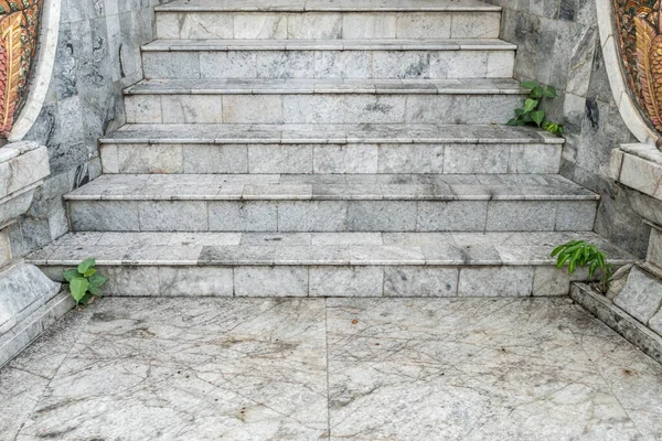 Gray Marble Staircase Plants — Stock Photo, Image