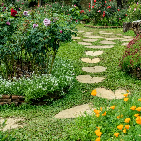 Camino Hormigón Con Flores Colores Jardín — Foto de Stock