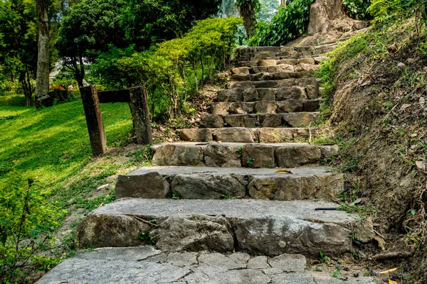 Escadaria Concreto Pedra Envelhecida Com Plantas Verdes — Fotografia de Stock
