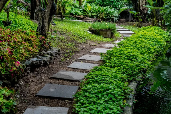 Caminho Bloco Concreto Com Plantas Verdes Flores Parque — Fotografia de Stock