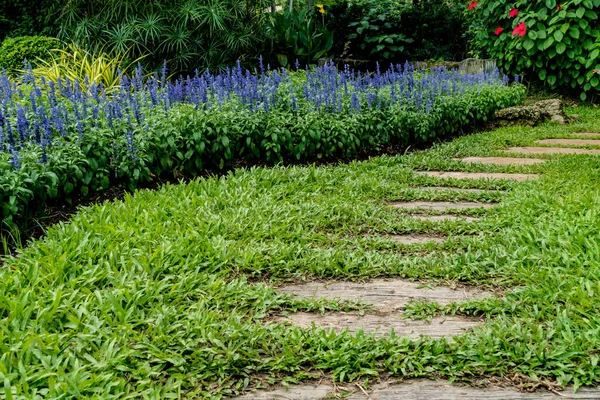 Antiguo Camino Madera Con Flores Hierba Verde — Foto de Stock