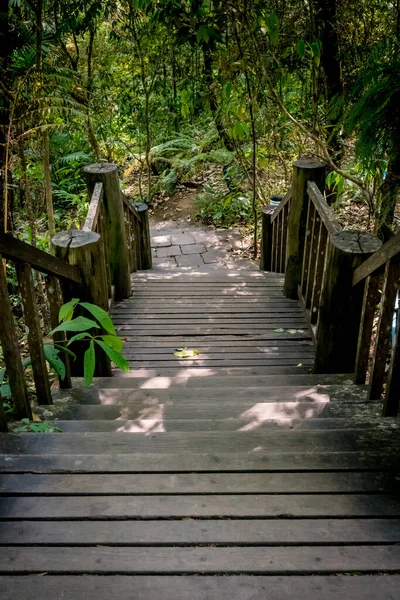 Vieja Escalera Madera Parque — Foto de Stock