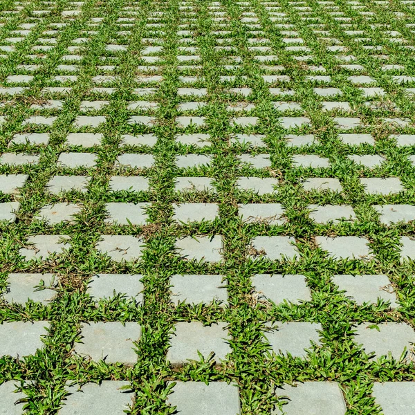 Podłoga Betonu Blokowego Zieloną Trawą Perspektywie — Zdjęcie stockowe