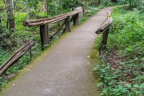 Caminho Concreto Floresta Com Grade Galhos — Fotografia de Stock