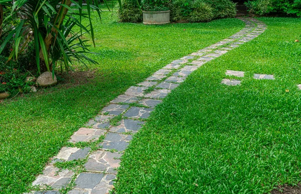 公園内の緑の草を横断する石の道 — ストック写真