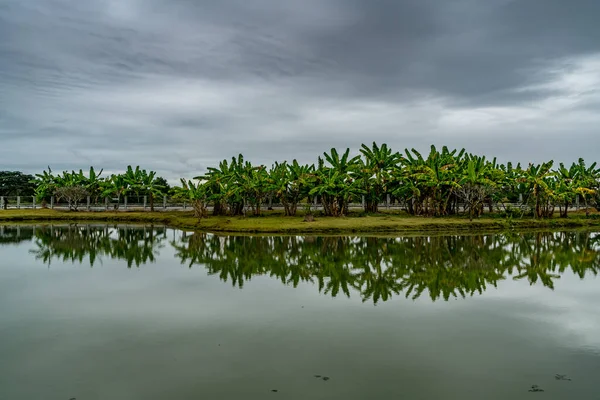 Bananiers Verts Avec Lac Vert Sur Fond Ciel Nuageux Foncé — Photo