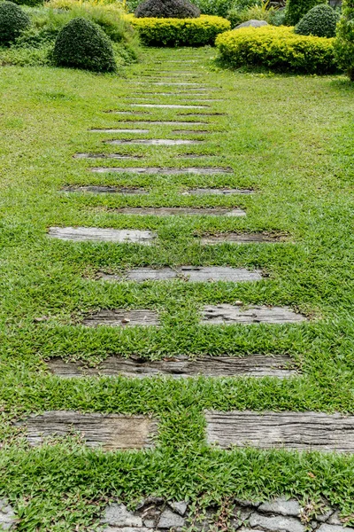 Betonnen Pad Het Park — Stockfoto