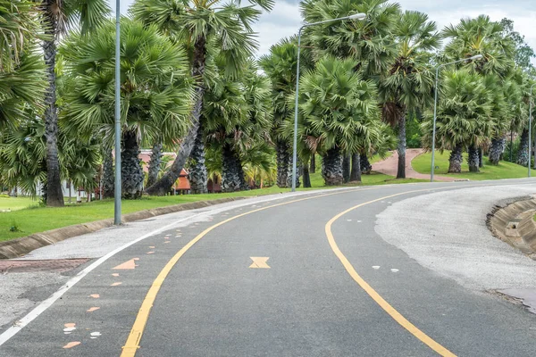 Asphalt Road Park — Stock Photo, Image