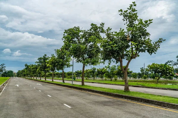 Bella Strada Asfaltata Con Alberi Verdi Nel Parco — Foto Stock