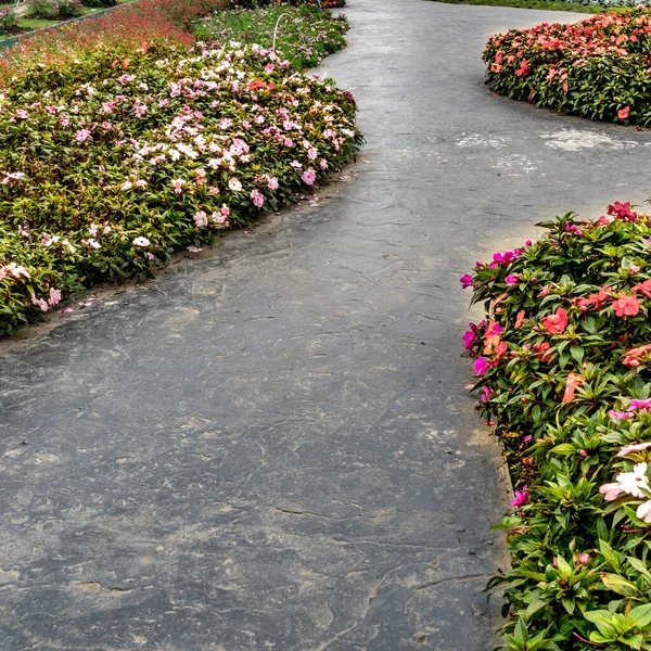Camino Hormigón Con Flores Colores Jardín —  Fotos de Stock