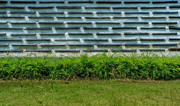 Белая Бетонная Стена Зелеными Растениями Зеленым Газоном — стоковое фото