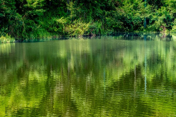 Bosque Verde Tropical Con Lago Verde — Foto de Stock