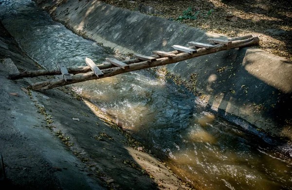 Small Bridge Made Timber Garden — Stock Photo, Image